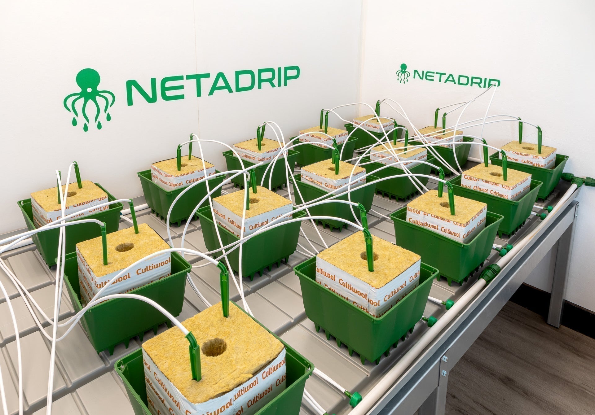 Sistema riego marihuana