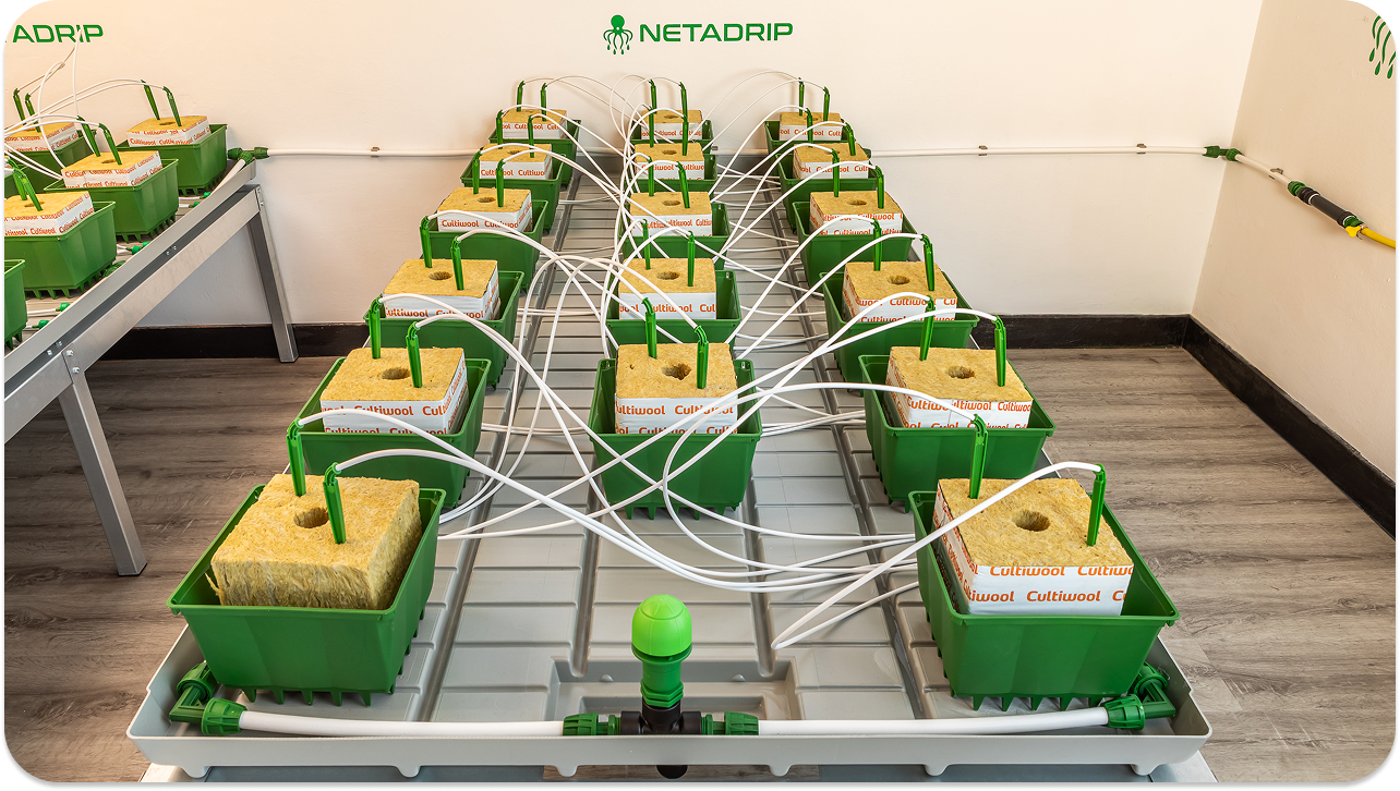 Kit de riego automático HYDRA: cómo instalarlo paso a paso