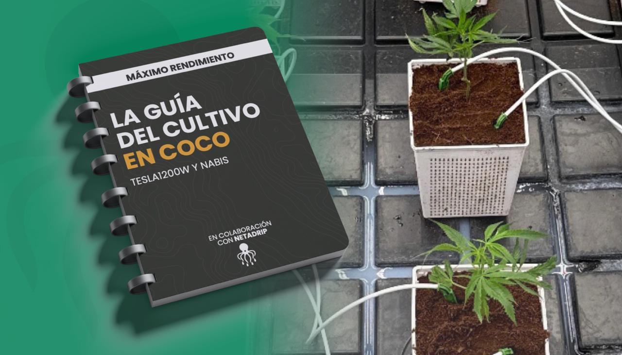 Domina el cultivo en coco: la nueva guía de Netadrip para revolucionar el riego del cannabis